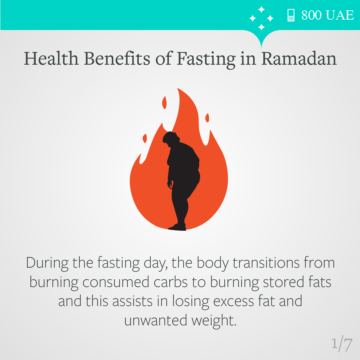 During the fasting day, the body transitions from burning consumed carbs to burning stored fats